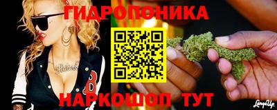 гашик Апрелевка
