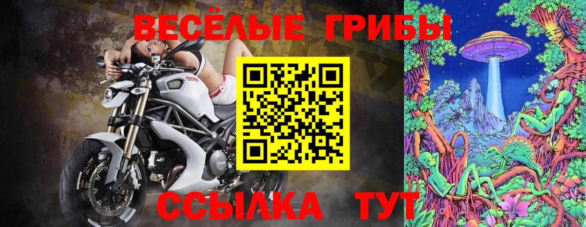 Артём  Галлюциногенные грибы ЛСД  Вход с VPN 